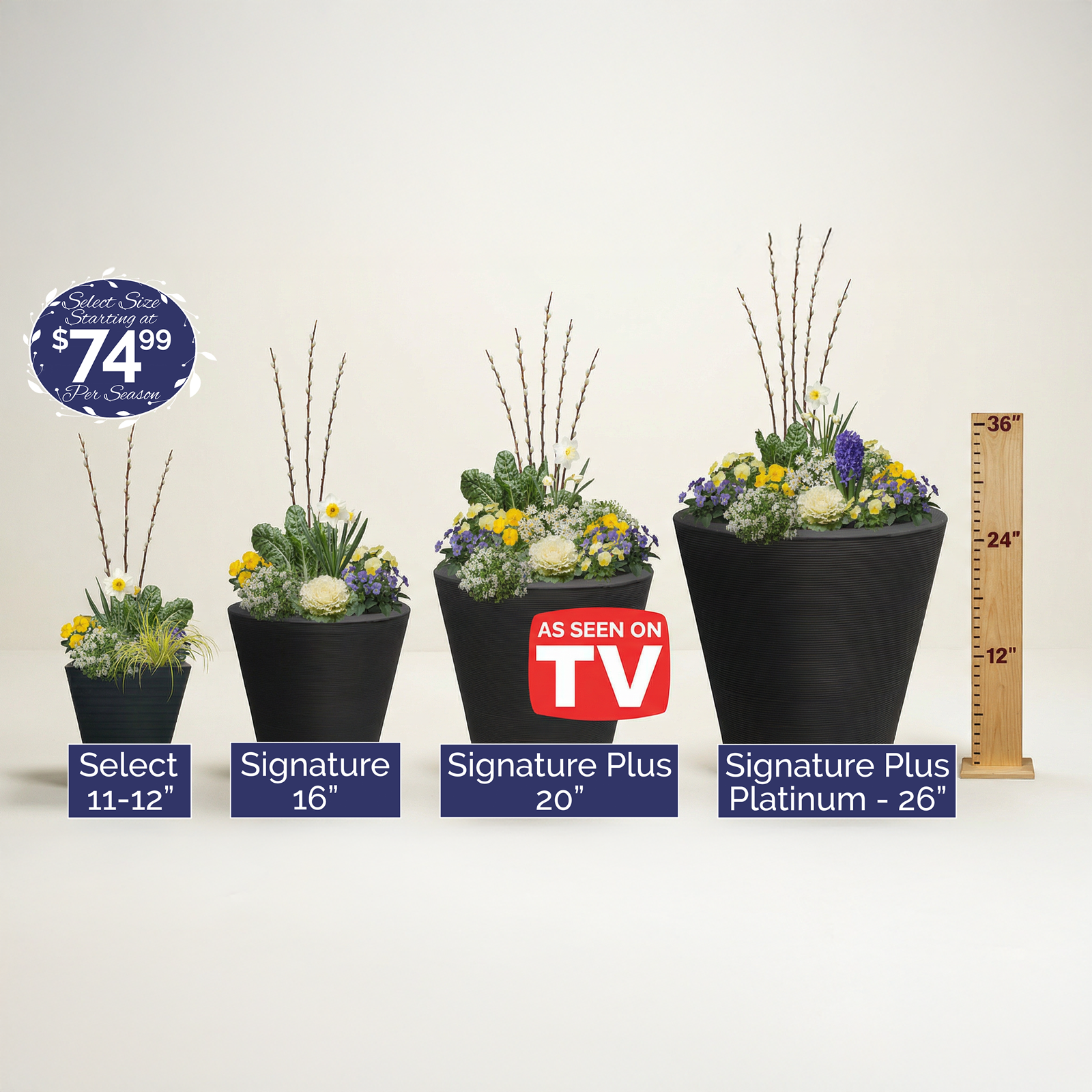 Four potted plants with size labels and 'As Seen on TV' logo on a white background