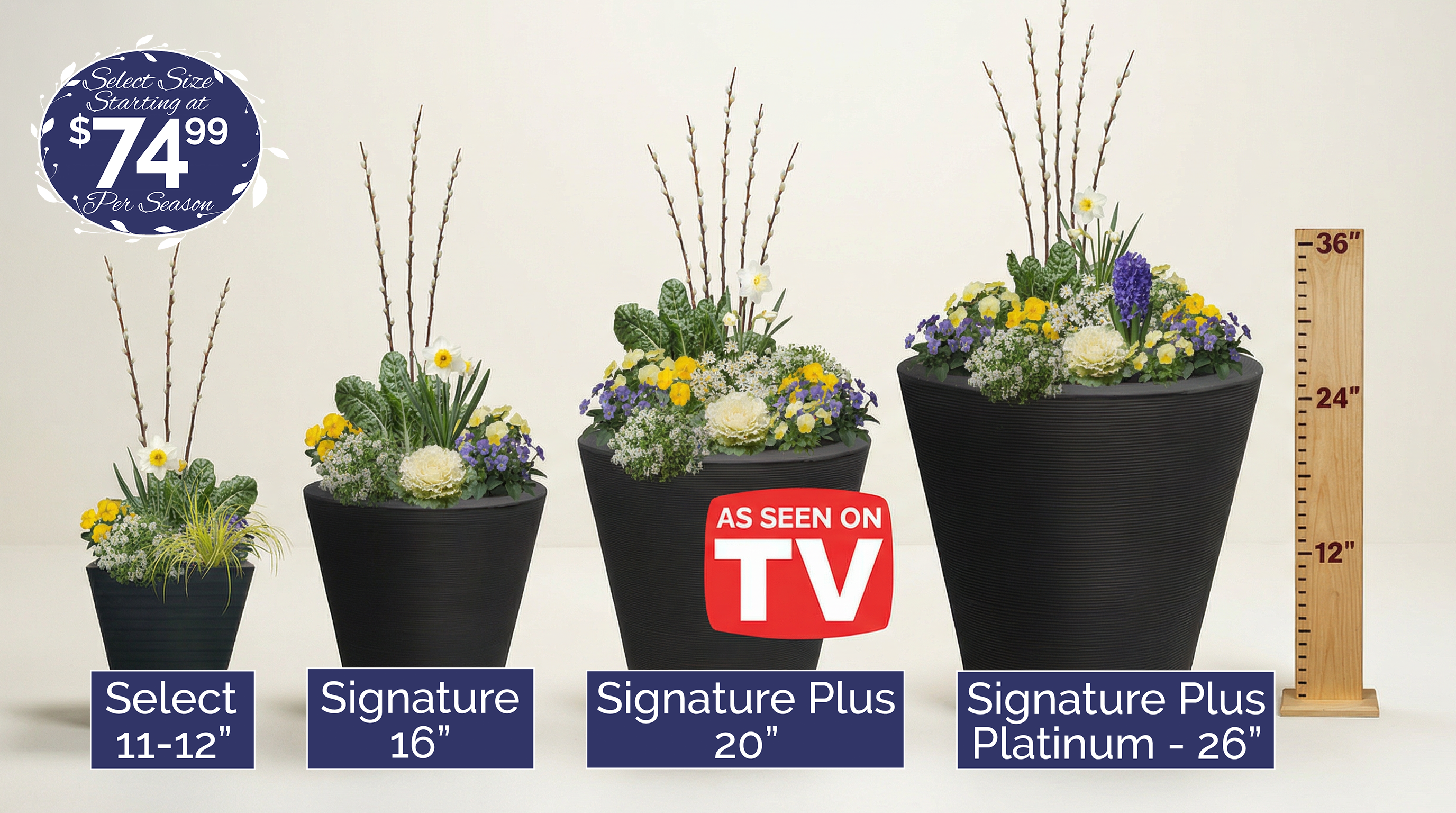 Four potted plants with size labels and 'As Seen on TV' logo on a white background