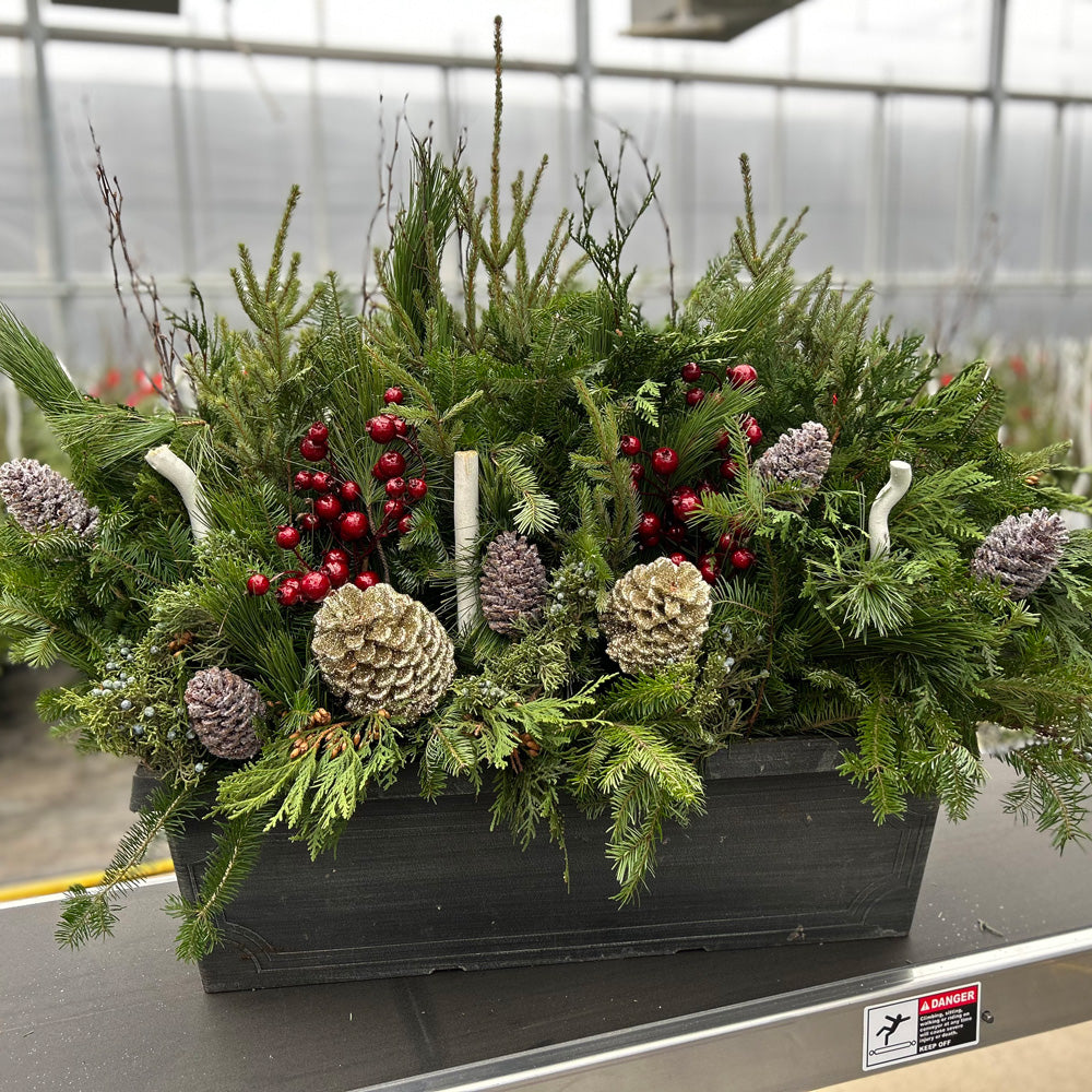 Do It Yourself (DIY) Planter Subscription Kit-Simple and Grand-Small (12"-14")-Full Sun-Simple and Grand