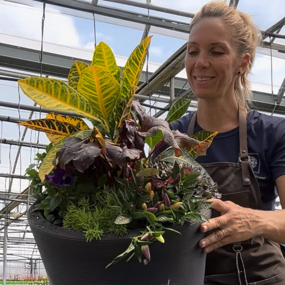 Person holding a large potted plant in a greenhouse