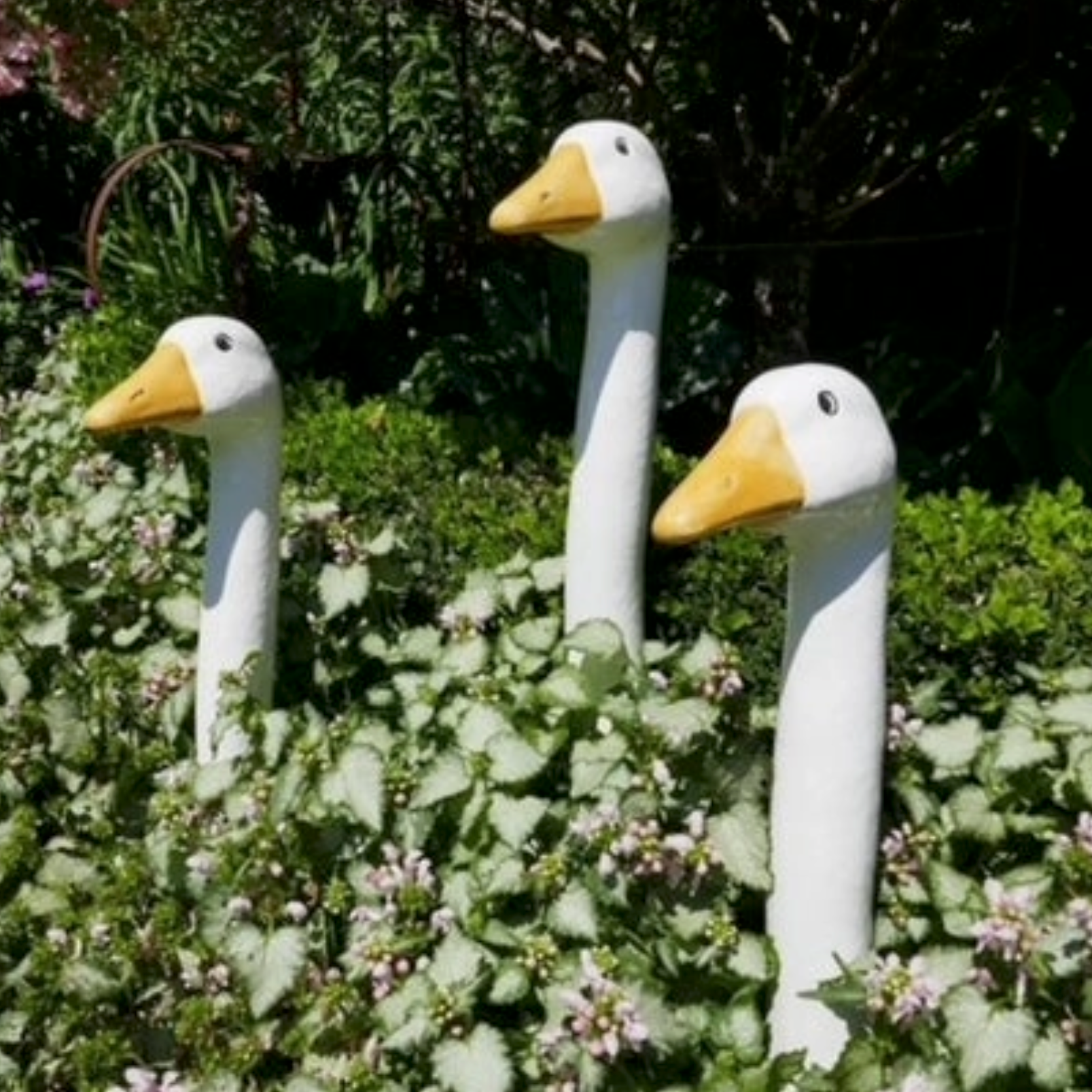 Three white goose garden statues with yellow beaks emerging from green foliage in a garden setting.