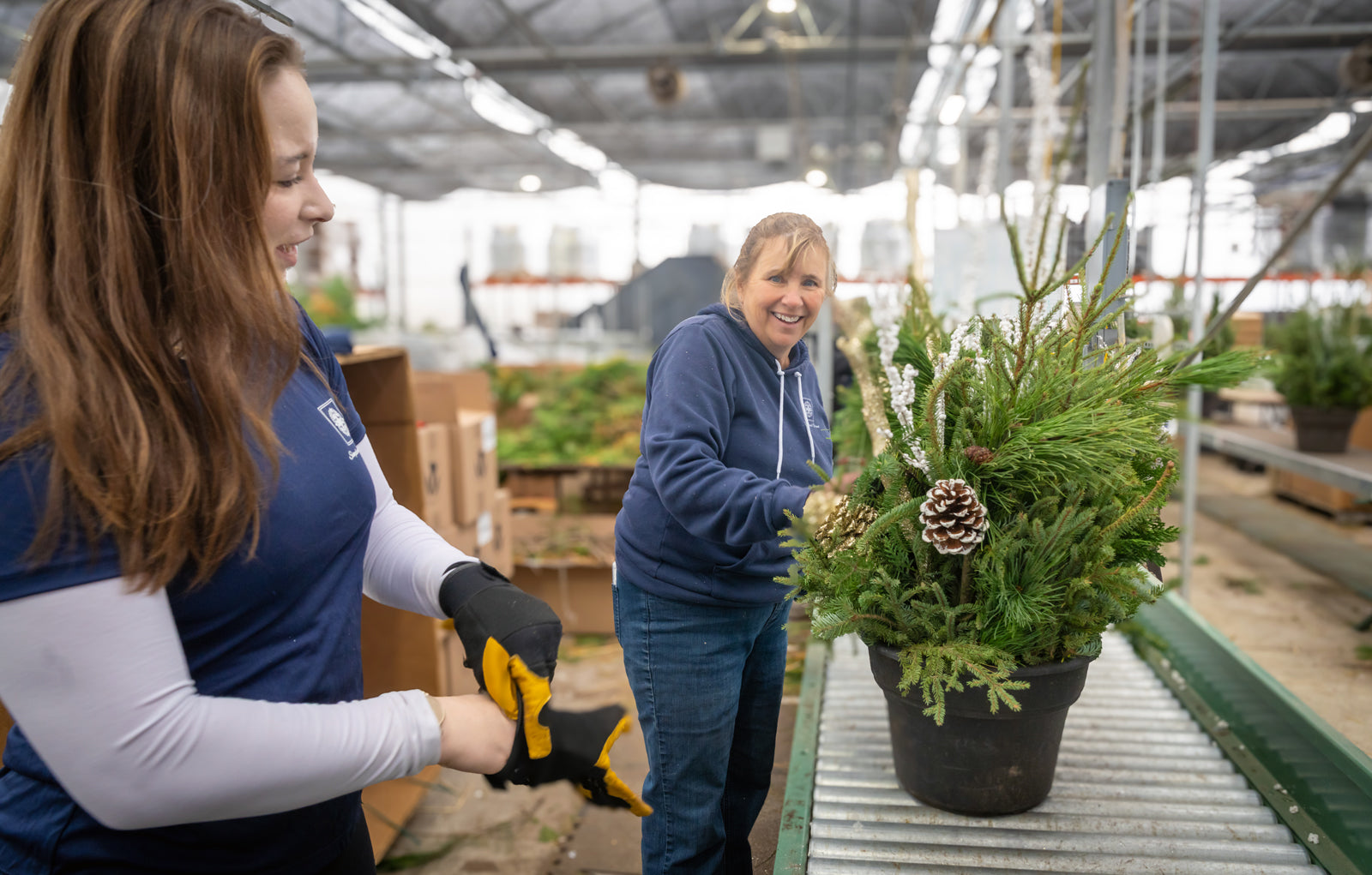 Two women working with plants in a greenhouse setting