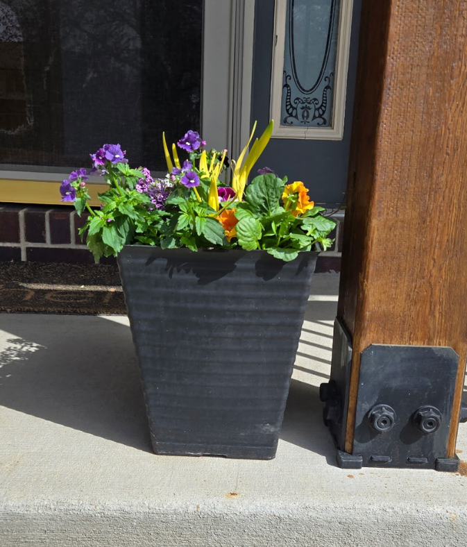 Planter Delivery Subscription-Simple and Grand-SELECT (11"-12") - Budget Friendly-Square-Full Sun-Simple and Grand