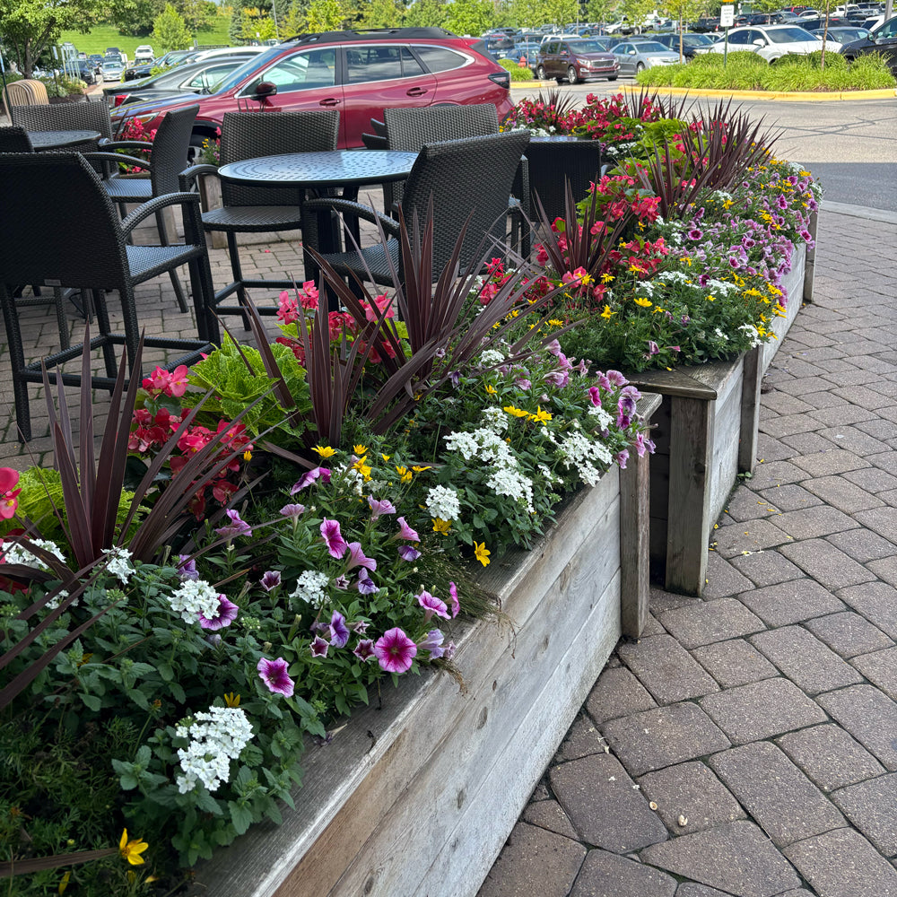 Custom flower bed installs on sidewalk