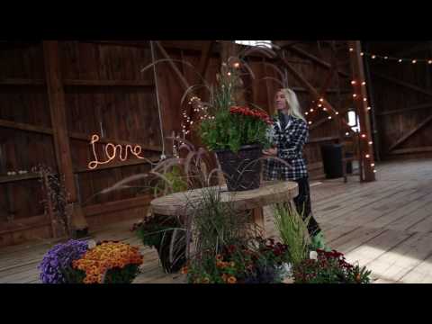 Load video: Planter Delivery Subscription