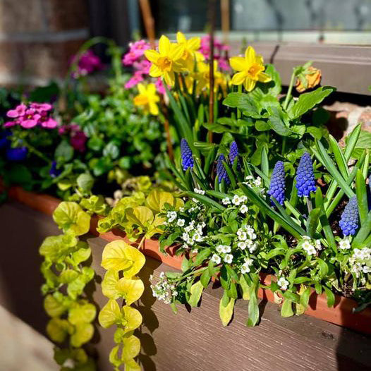 small plant pots ideas Do It Yourself (DIY) Planter Subscription Kit