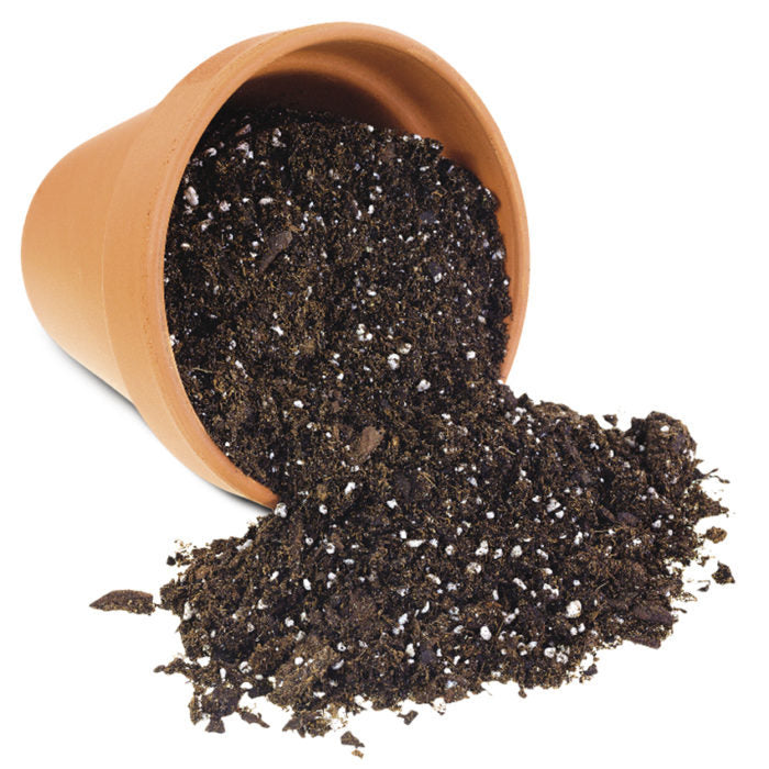 cheap potting mix 8qt Bag of Potting Soil