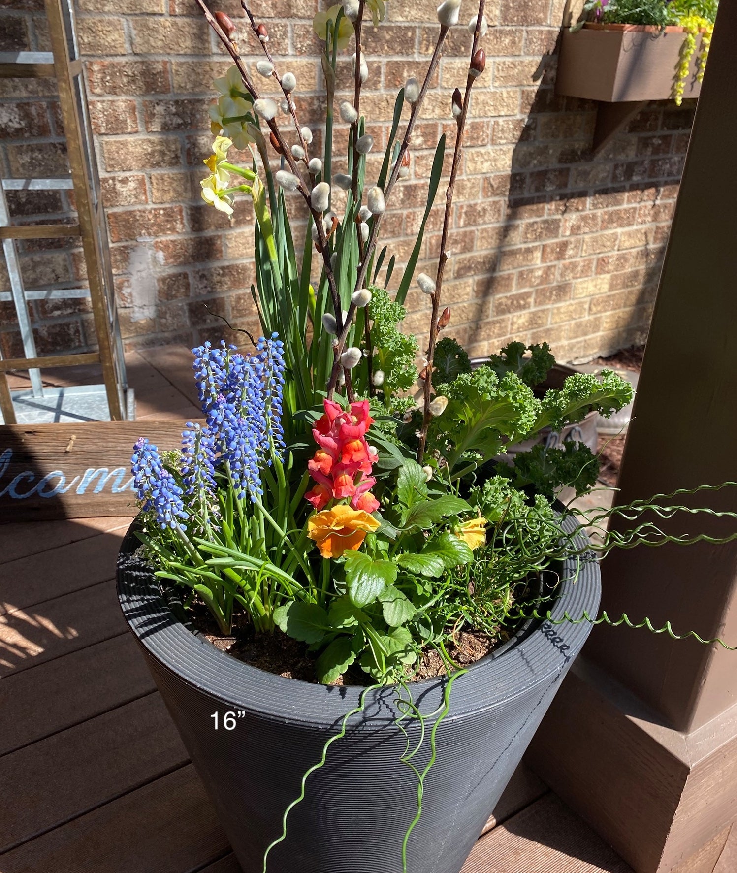 Planter Delivery Subscription-Simple and Grand-SIGNATURE (16") - Most Popular-Round - Caviar Black-Full Sun-Simple and Grand