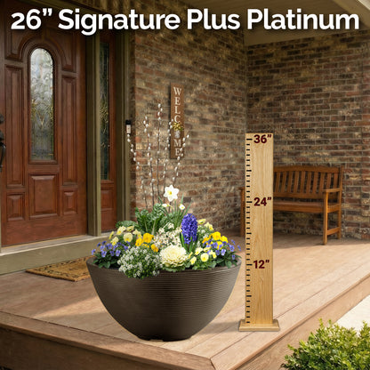 Planter Delivery Subscription-Simple and Grand-SELECT (11"-12") - Budget Friendly-Square-Full Sun-Simple and Grand