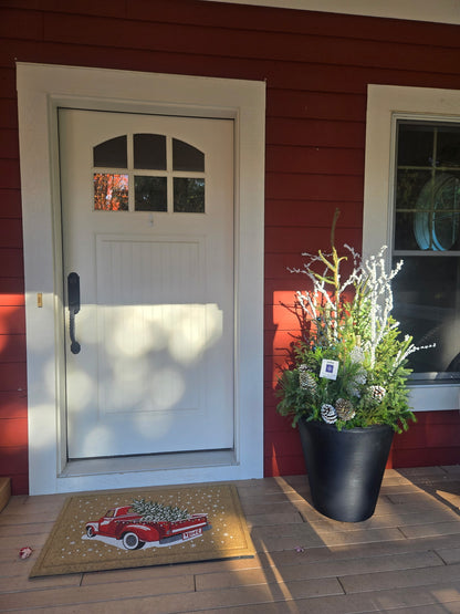 Planter Delivery Subscription-Simple and Grand-SELECT (11"-12") - Budget Friendly-Square-Full Sun-Simple and Grand