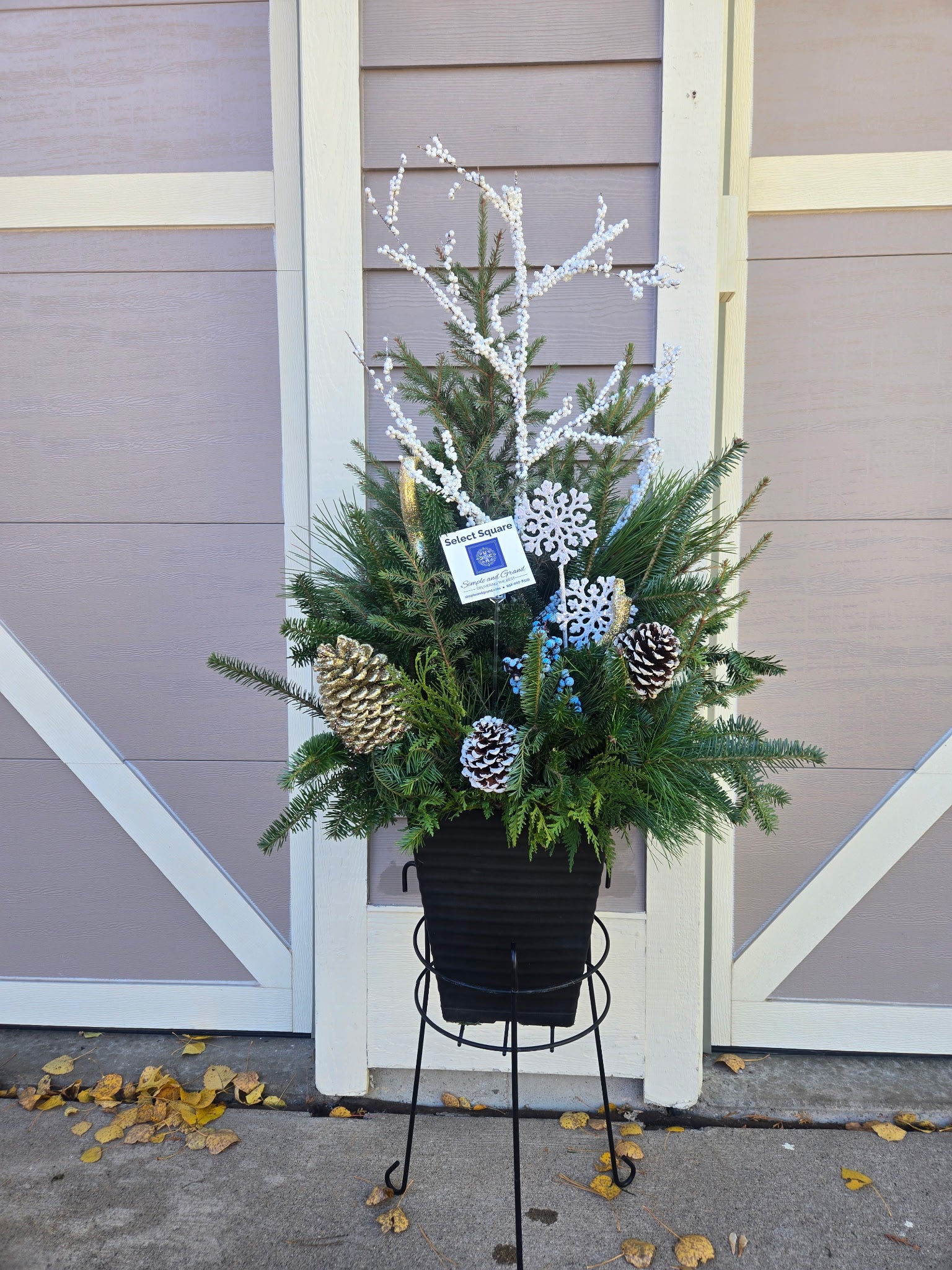 Planter Delivery Subscription-Simple and Grand-SELECT (11"-12") - Budget Friendly-Square-Full Sun-Simple and Grand