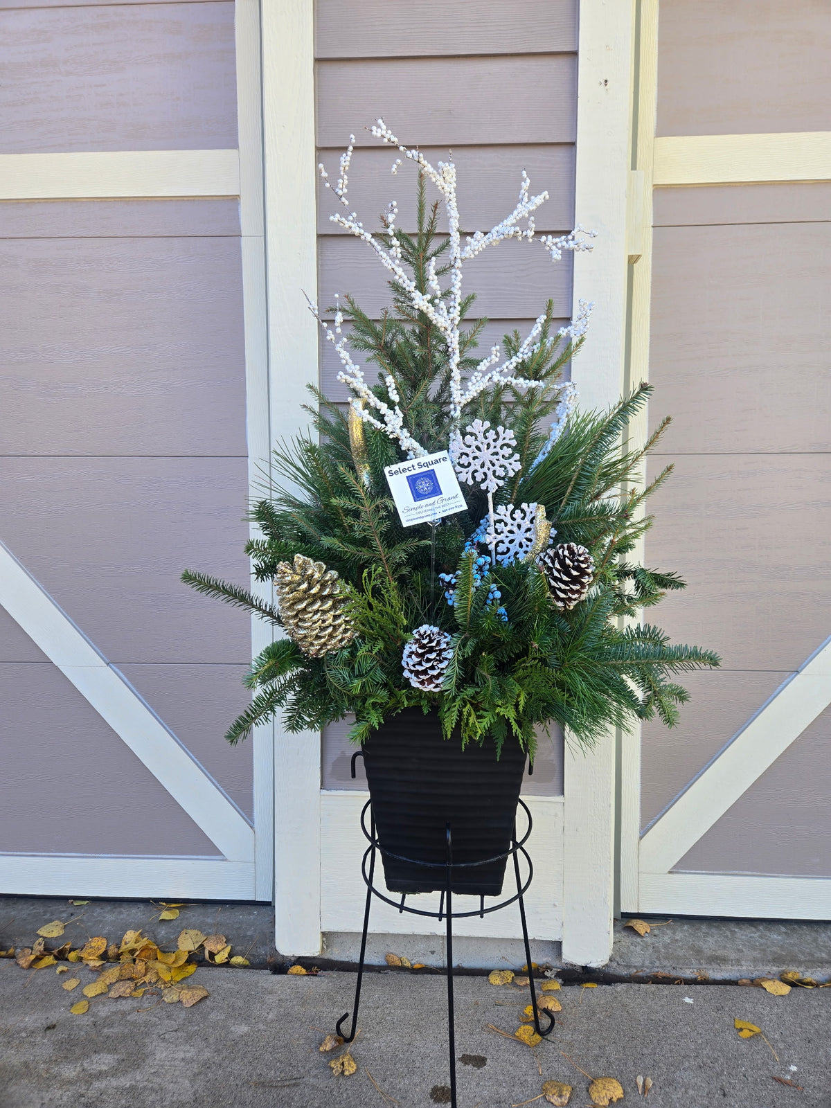 Planter Delivery Subscription-Simple and Grand-SELECT (11&quot;-12&quot;) - Budget Friendly-Square-Full Sun-Simple and Grand