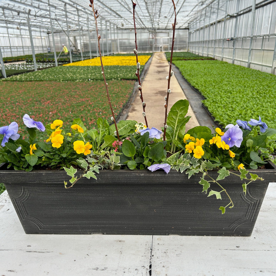 Do It Yourself (DIY) Planter Subscription Kit-Simple and Grand-Small (12&quot;-14&quot;)-Full Sun-Simple and Grand