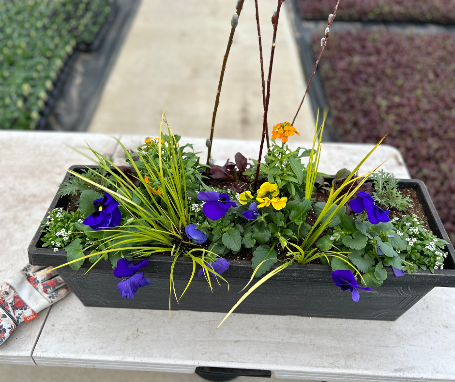 Do It Yourself (DIY) Planter Subscription Kit-Simple and Grand-Small (12"-14")-Full Sun-Simple and Grand
