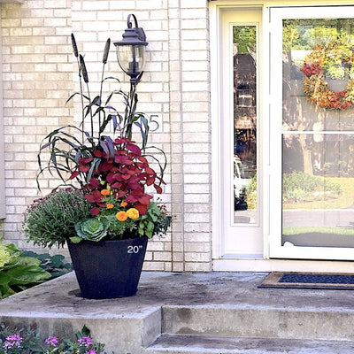 Planter Insert Delivery Subscription - Use Your Own Container-Simple and Grand-Round-9" Round (9" Top x 6.25" Tall x 6.75" Bottom)-Full Sun-Simple and Grand