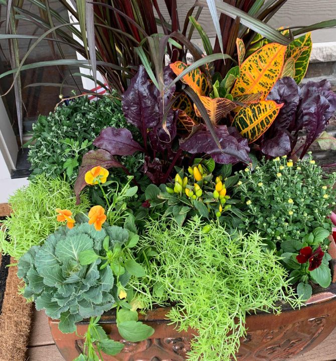 Do It Yourself (DIY) Planter Subscription Kit-Simple and Grand-Small (12"-14")-Full Sun-Simple and Grand