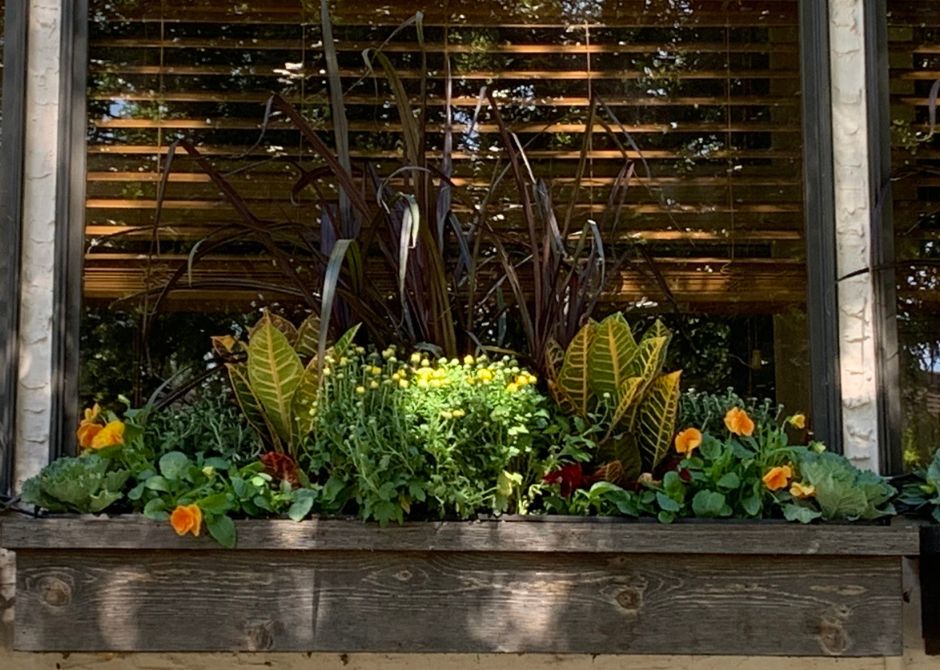 Do It Yourself (DIY) Planter Subscription Kit-Simple and Grand-Small (12"-14")-Full Sun-Simple and Grand