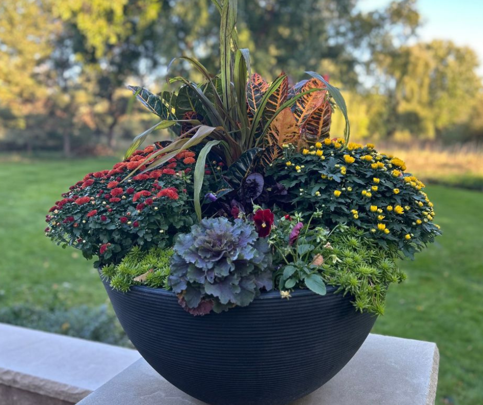 Planter Delivery Subscription-Simple and Grand-SELECT (11&quot;-12&quot;) - Budget Friendly-Square-Full Sun-Simple and Grand