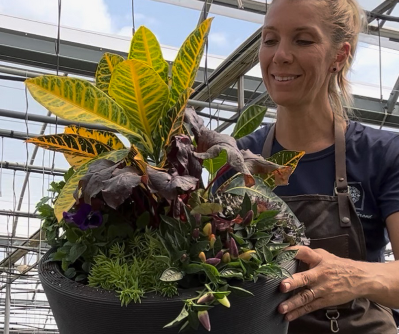 Simple grand seasonal planters arrangements delivered to your door