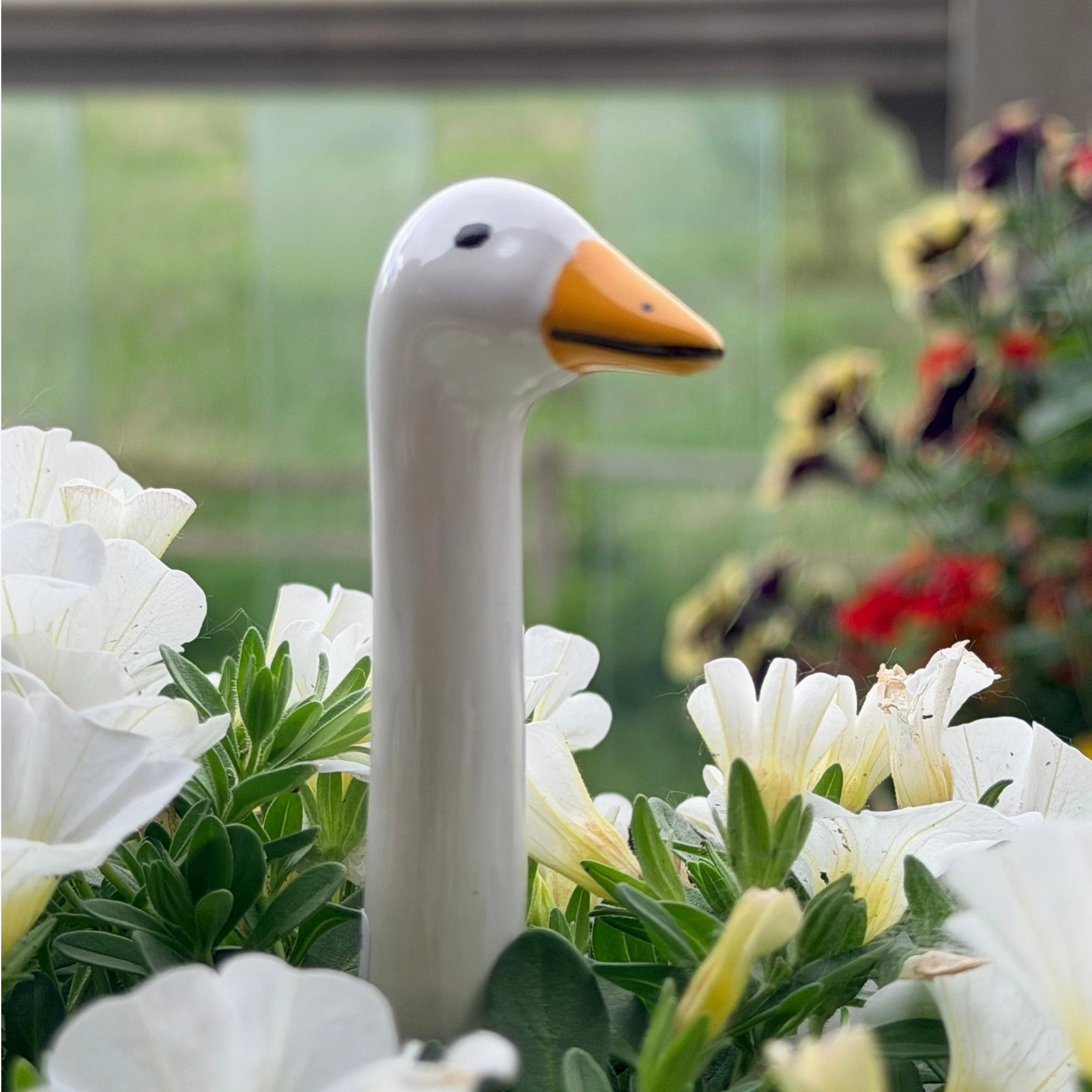 A white ceramic garden swan figurine with a yellow beak, nestled among white flowers and green foliage in an outdoor garden setting.