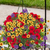 Hanging Basket, 12" Combo RBY, Sun-Simple and Grand-Simple and Grand