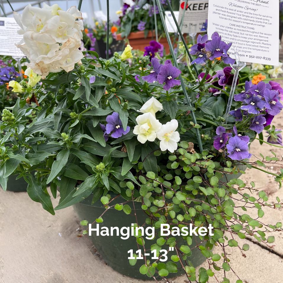Planter Delivery Subscription-Simple and Grand-HANGING BASKET (11"-13")-Round-Full Sun-Simple and Grand