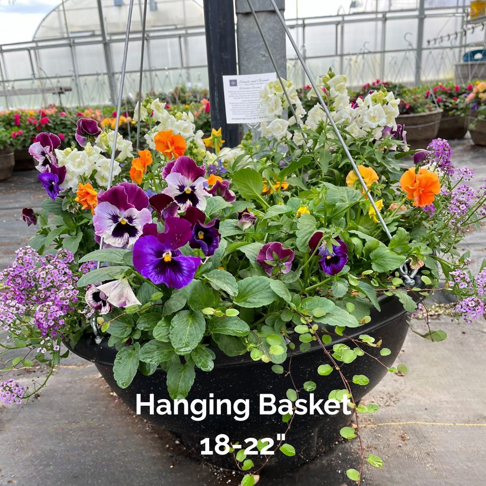 Planter Delivery Subscription-Simple and Grand-HANGING BASKET (18"-22")-Round-Full Sun-Simple and Grand
