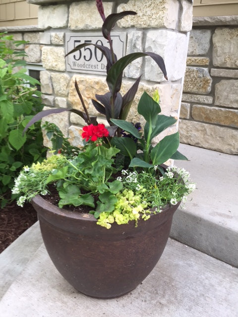 Planter Delivery Subscription - Simple and Grand