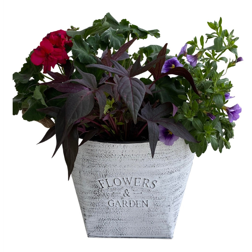 Flowers & Garden Pot with Fresh Flowers, 10"-Seasonal Decor-Simple and Grand-Simple and Grand