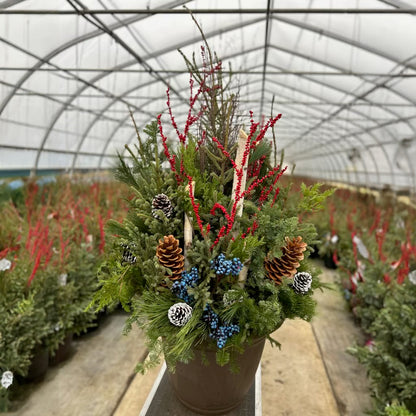 Do It Yourself (DIY) Planter Subscription Kit-Simple and Grand-Small (12"-14")-Full Sun-Simple and Grand