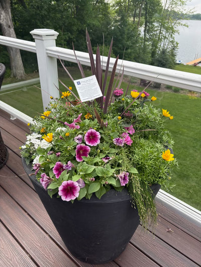 Planter Delivery Subscription-Simple and Grand-SIGNATURE PLUS PLATINUM (26")-Round - Caviar Black-Full Sun-Simple and Grand
