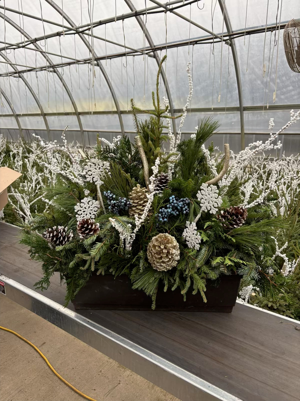 Do It Yourself (DIY) Window Box Kit Subscription-Simple and Grand-Full Sun-Simple and Grand