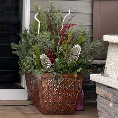 Planter Insert Delivery Subscription - Use Your Own Container-Simple and Grand-Round-9" Round (9" Top x 6.25" Tall x 6.75" Bottom)-Full Sun-Simple and Grand