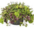 Mixed Greens 10" Hanging Basket - SUMMER DELIVERY-Seasonal Decor-Simple and Grand-Mixed Colors-Simple and Grand