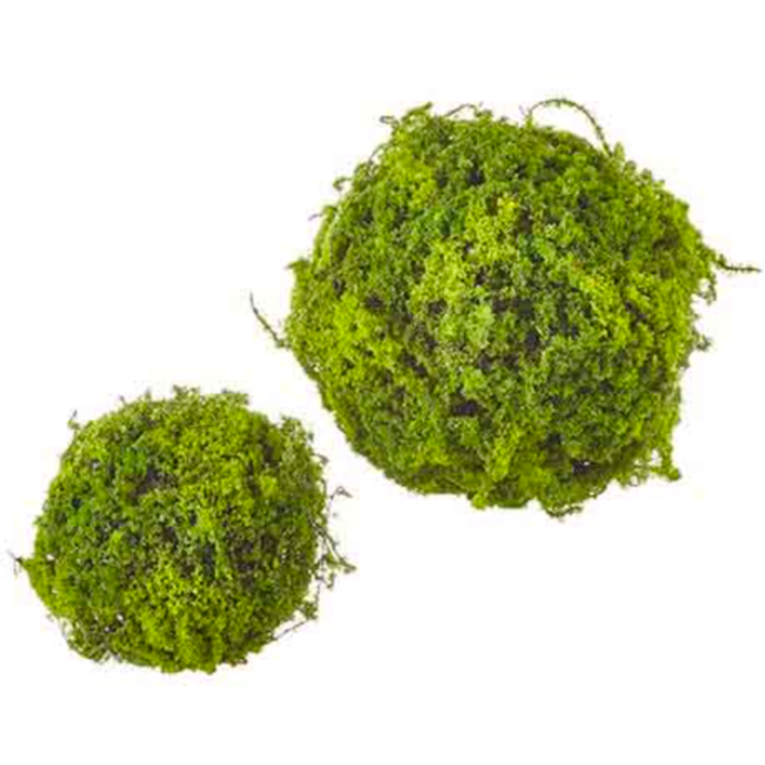 Moss Balls, set of 2-Seasonal Decor-Simple and Grand-Simple and Grand