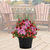 Patio Pot, 14" Combo Red, Sun-Simple and Grand-Simple and Grand