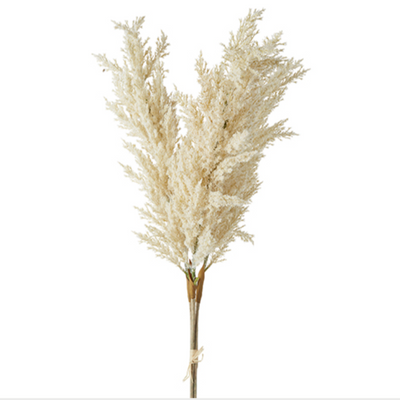Pampas Grass Bundle, 34"-Seasonal Decor-Simple and Grand-Simple and Grand