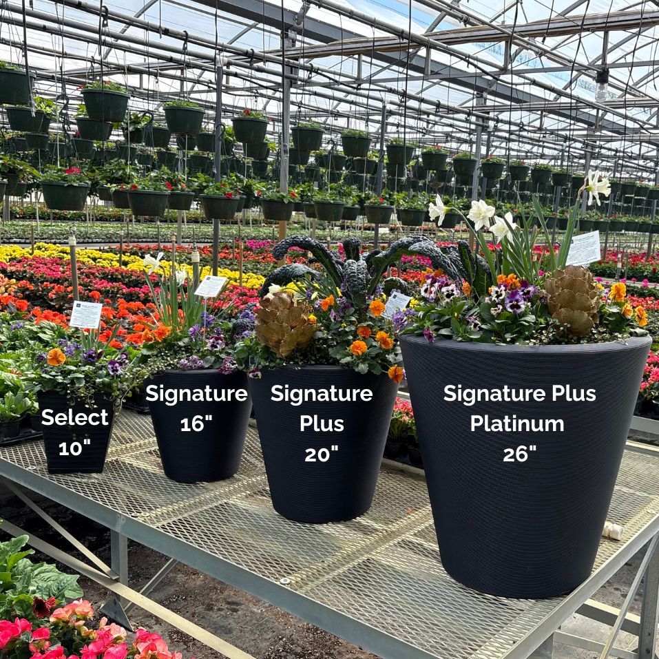 Planter Delivery Subscription-Simple and Grand-SELECT (11"-12") - Budget Friendly-Square-Full Sun-Simple and Grand