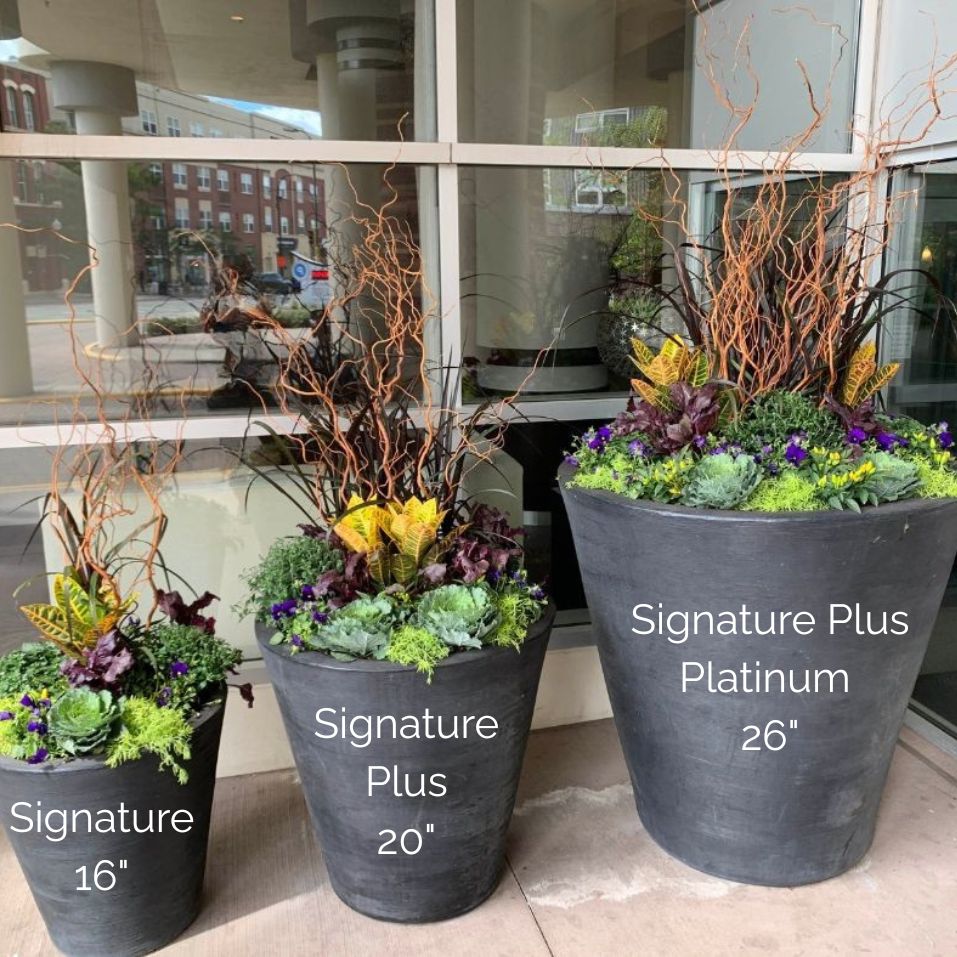 Planter Delivery Subscription-Simple and Grand-SELECT (11"-12") - Budget Friendly-Square-Full Sun-Simple and Grand