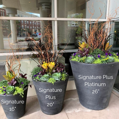 Planter Delivery Subscription-Simple and Grand-SELECT (11"-12") - Budget Friendly-Square-Full Sun-Simple and Grand