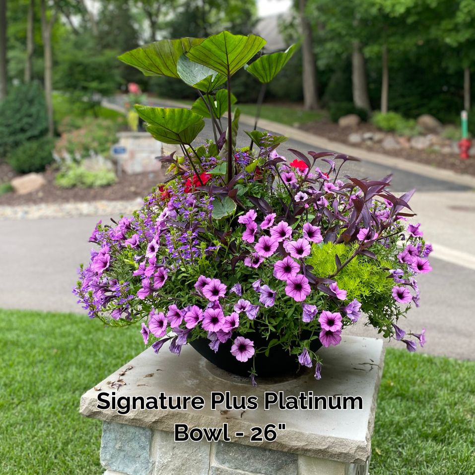 Planter Delivery Subscription-Simple and Grand-SELECT (11"-12") - Budget Friendly-Square-Full Sun-Simple and Grand
