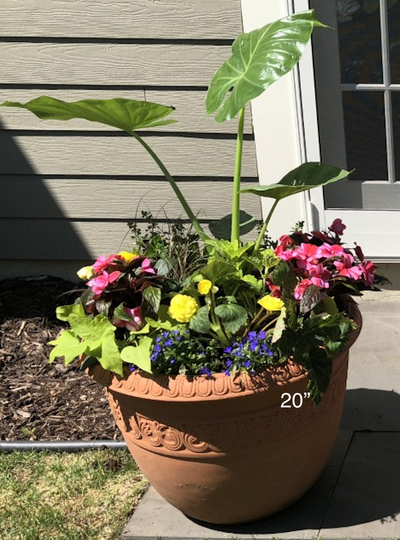 Planter Insert Delivery Subscription - Use Your Own Container-Simple and Grand-Round-9" Round (9" Top x 6.25" Tall x 6.75" Bottom)-Full Sun-Simple and Grand