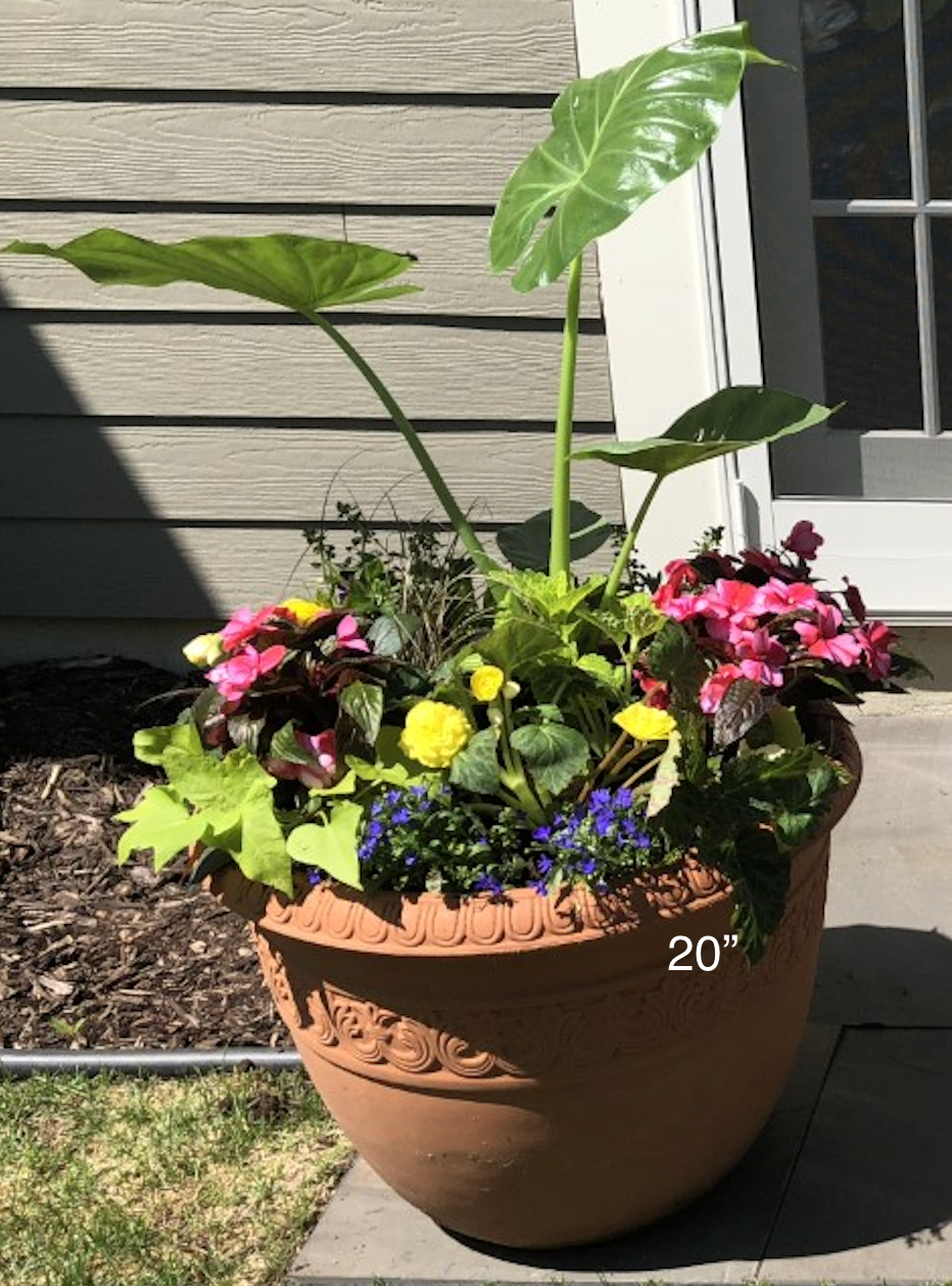 Planter Insert Delivery Subscription - Use Your Own Container-Simple and Grand-Round-9" Round (9" Top x 6.25" Tall x 6.75" Bottom)-Full Sun-Simple and Grand