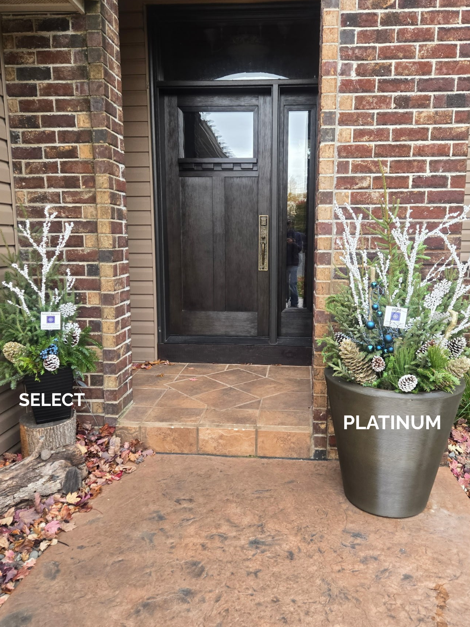 Planter Delivery Subscription-Simple and Grand-SELECT (11"-12") - Budget Friendly-Square-Full Sun-Simple and Grand