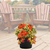 Patio Pot, 14" Combo, Orange, Shade-Simple and Grand-Simple and Grand