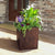 Planter Insert Delivery Subscription - Use Your Own Container-Simple and Grand-Round-9" Round (9" Top x 6.25" Tall x 6.75" Bottom)-Full Sun-Simple and Grand