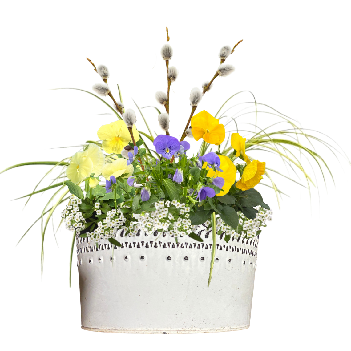 Spring Has Sprung Mixed Pot, 11"-Seasonal Decor-Simple and Grand-Simple and Grand