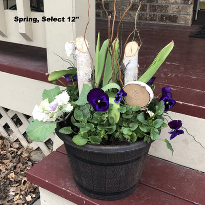 Planter Insert Delivery Subscription - Use Your Own Container-Simple and Grand-Round-9" Round (9" Top x 6.25" Tall x 6.75" Bottom)-Full Sun-Simple and Grand