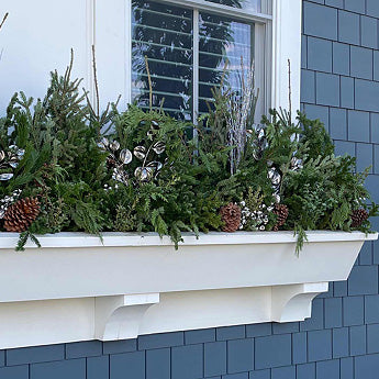 Do It Yourself (DIY) Planter Subscription Kit-Simple and Grand-Small (12&quot;-14&quot;)-Full Sun-Simple and Grand