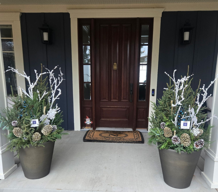 Planter Delivery Subscription-Simple and Grand-SELECT (11"-12") - Budget Friendly-Square-Full Sun-Simple and Grand